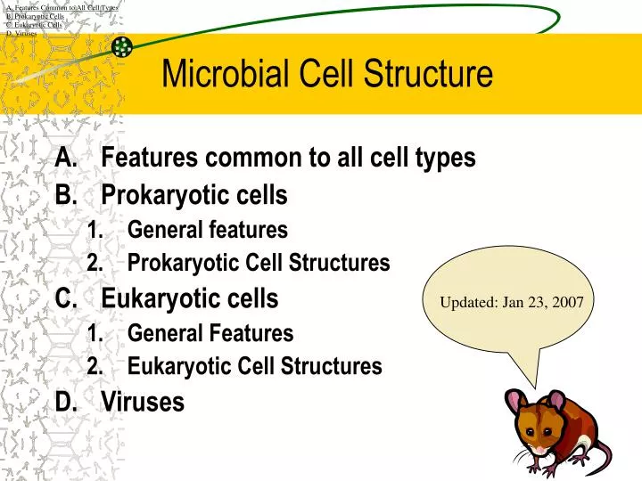 microbial cell structure