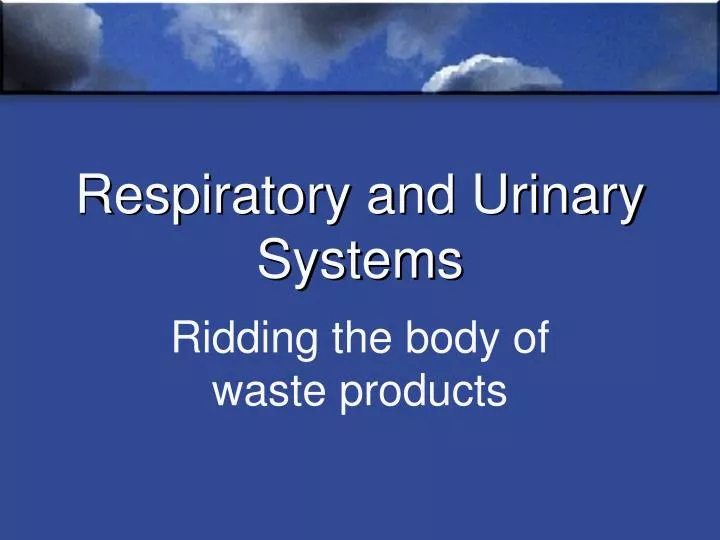 respiratory and urinary systems