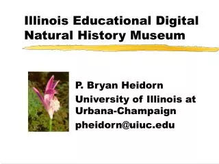 Illinois Educational Digital Natural History Museum