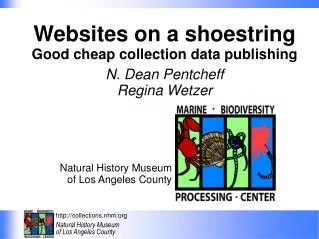 Websites on a shoestring Good cheap collection data publishing N. Dean Pentcheff Regina Wetzer