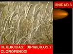 UNIDAD 3 - slide 1