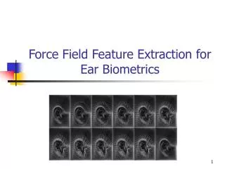Force Field Feature Extraction for Ear Biometrics