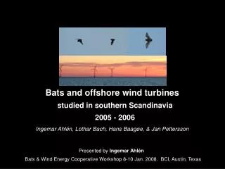 Bats and offshore wind turbines studied in southern Scandinavia 2005 - 2006