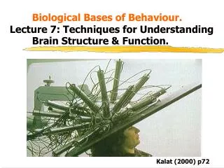 Biological Bases of Behaviour. Lecture 7: Techniques for Understanding 	Brain Structure &amp; Function.