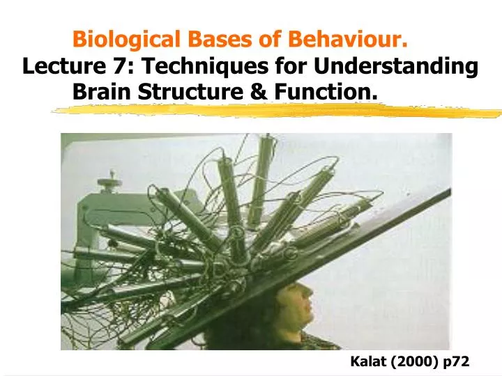 biological bases of behaviour lecture 7 techniques for understanding brain structure function