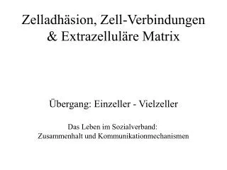Zelladhäsion, Zell-Verbindungen &amp; Extrazelluläre Matrix