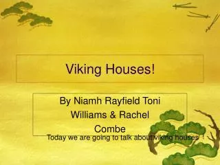 Viking Houses!