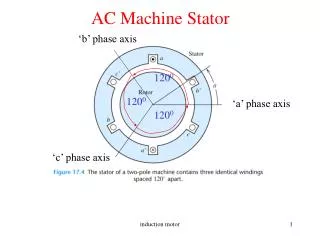 AC Machine Stator
