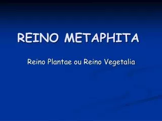 REINO METAPHITA