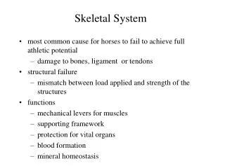 Skeletal System