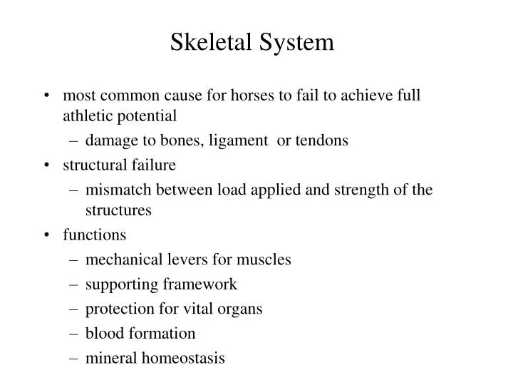 skeletal system