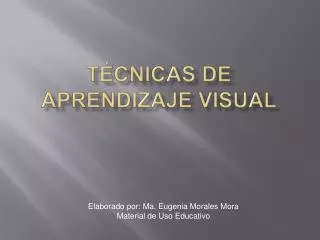 Técnicas de Aprendizaje Visual
