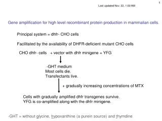 Gene amplification for high level recombinant protein production in mammalian cells.