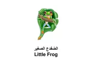 الضفدع الصغير Little Frog