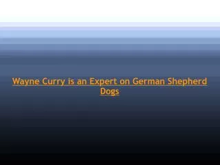 Wayne Curry is an Expert on German Shepherd Dogs
