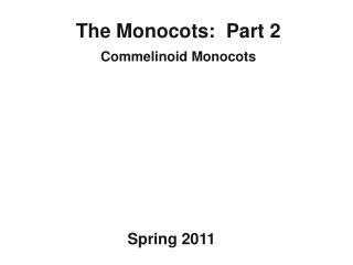 The Monocots: Part 2 Commelinoid Monocots