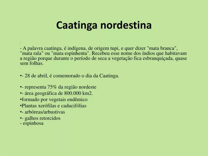 caatinga nordestina