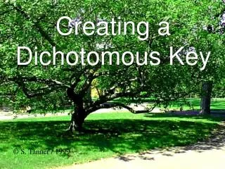 Creating a Dichotomous Key