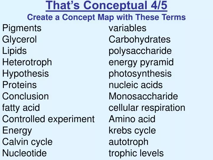 that s conceptual 4 5 create a concept map with these terms