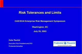 Risk Tolerances and Limits CAS/SOA Enterprise Risk Management Symposium Washington, DC July 29, 2003