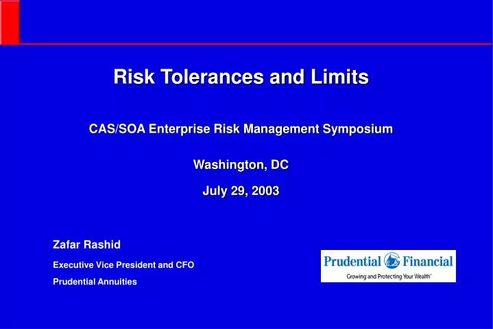 risk tolerances and limits cas soa enterprise risk management symposium washington dc july 29 2003