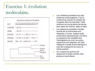 Exercice 1: évolution moléculaire.