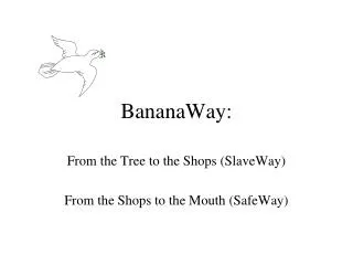 BananaWay: