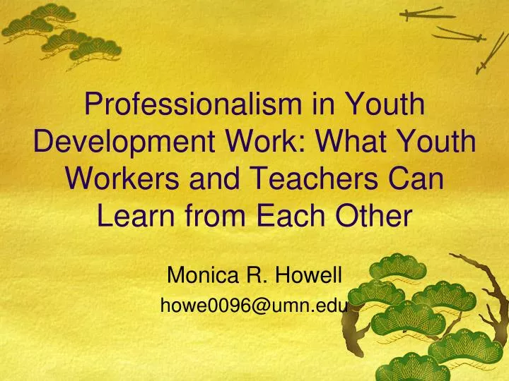 professionalism in youth development work what youth workers and teachers can learn from each other