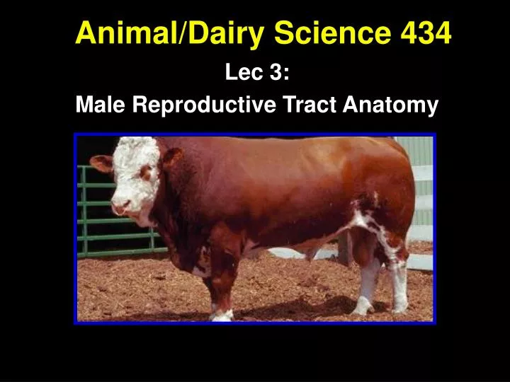 animal dairy science 434
