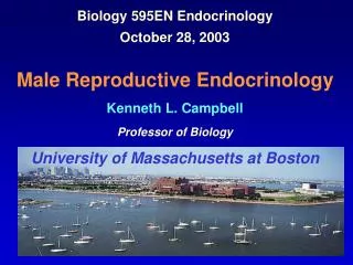 Biology 595EN Endocrinology October 28, 2003 Male Reproductive Endocrinology Kenneth L. Campbell Professor of Biology Un