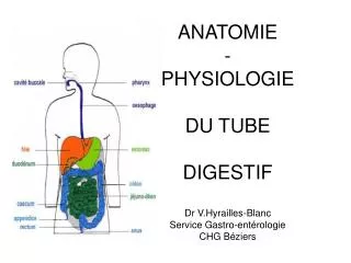 ANATOMIE - PHYSIOLOGIE DU TUBE DIGESTIF Dr V.Hyrailles-Blanc Service Gastro-entérologie CHG Béziers