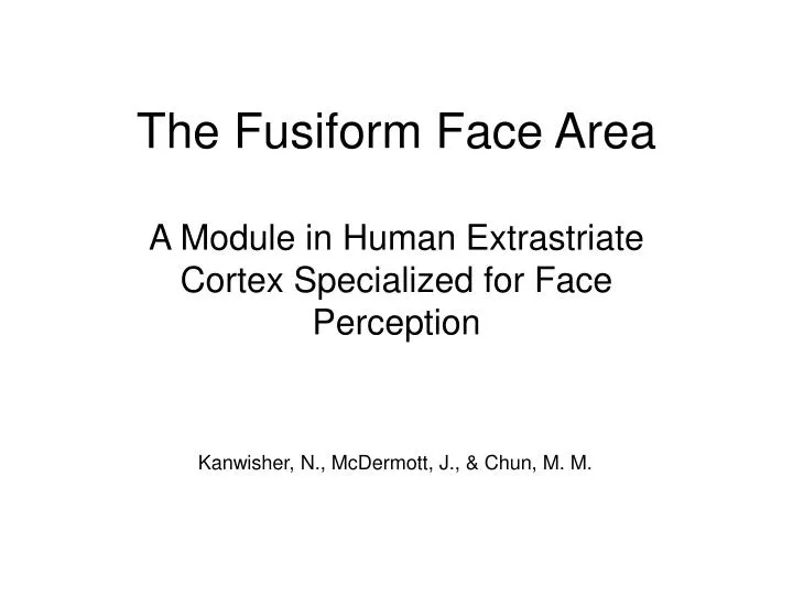 the fusiform face area