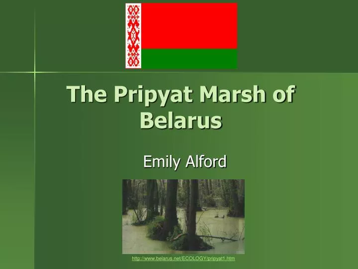 the pripyat marsh of belarus