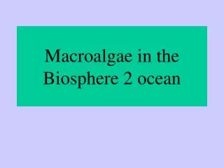 Macroalgae in the Biosphere 2 ocean