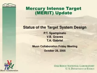 Mercury Intense Target (MERIT) Update