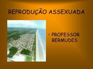 reprodu o assexuada
