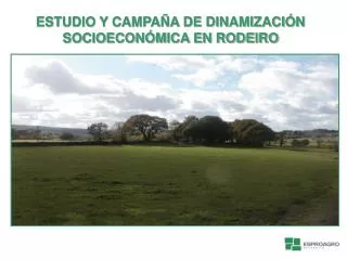 ESTUDIO Y CAMPAÑA DE DINAMIZACIÓN SOCIOECONÓMICA EN RODEIRO