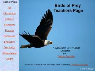 Birds of Prey Teachers Page A WebQuest for 4 th Grade