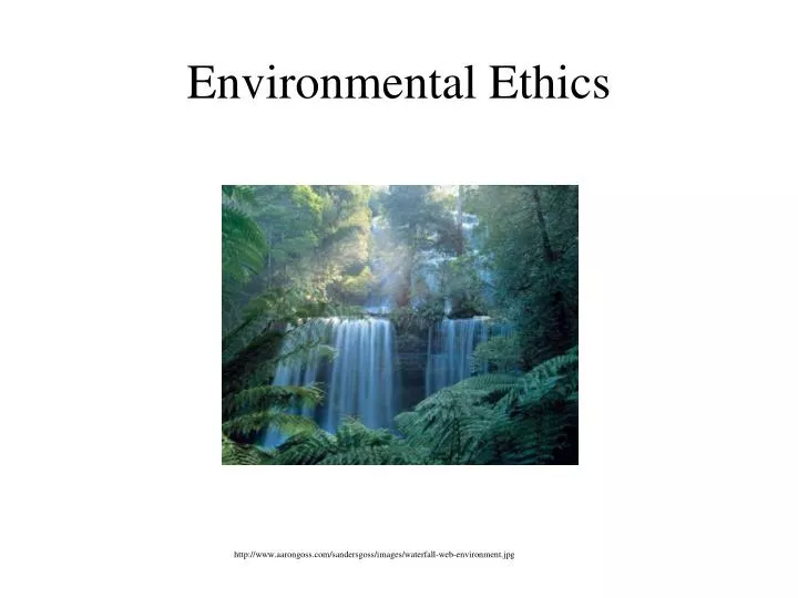 environmental ethics