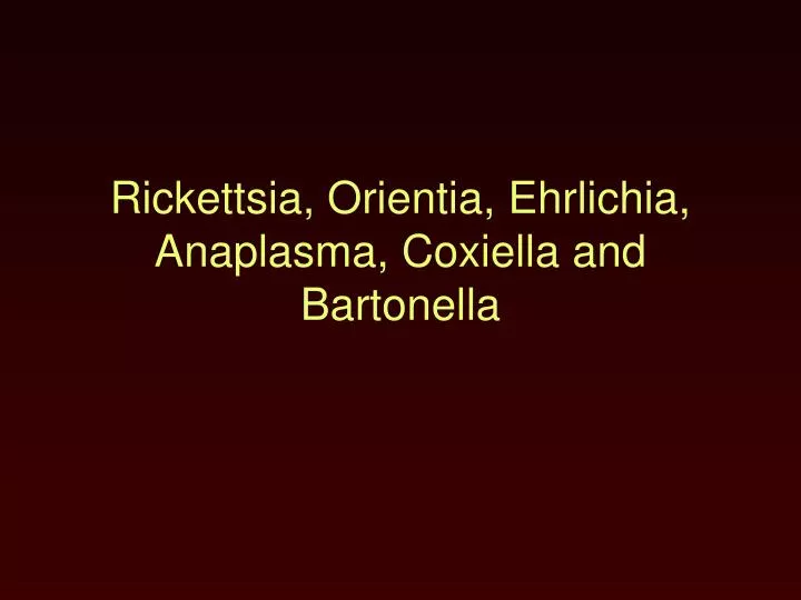 rickettsia orientia ehrlichia anaplasma coxiella and bartonella