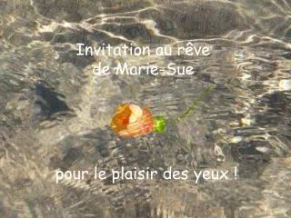 Invitation au rêve de Marie-Sue