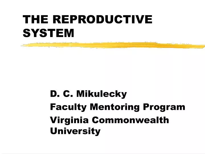 the reproductive system