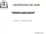 UNIVERSIDAD DEL MAR - slide 1