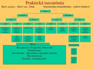 Praktická taxonómia