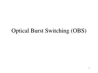 Optical Burst Switching (OBS)