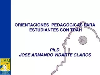 ORIENTACIONES PEDAGÓGICAS PARA ESTUDIANTES CON TDAH Ph.D JOSE ARMANDO VIDARTE CLAROS