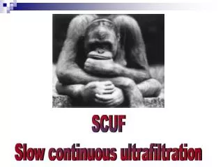 SCUF Slow continuous ultrafiltration