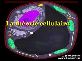 La théorie cellulaire