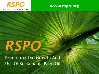 Promoting The Growth And Use Of Sustainable Palm Oil