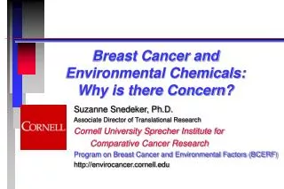 Breast Cancer and Environmental Chemicals: Why is there Concern?